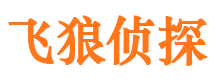 宜秀寻人公司